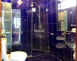 Lorong Sarhad (D5), Semi-Detached #452249441